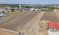Land und Forstwirtschaft - 2214, Auersthal - Landwirtschaftliches Grundstück in der KG Auersthal - 4306m2