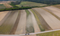 Land und Forstwirtschaft - 2214, Auersthal - Landwirtschaftliches Grundstück in der KG Auersthal - 3103m2