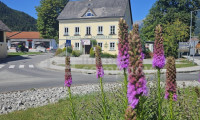 Gastgewerbe - 8911, Admont - Traditionsgasthof seit 1893 – einzigartige Lage und großes Potenzial nahe Stift Admont