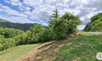 Grundstück - 3653, Weiten - Idyllische Hanglage im Weitental