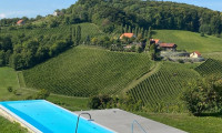 Wohnung - 8472, Graßnitzberg - *PROVISIONSFREIER FERIENTRAUM SOMMERAKTION* - Vollausgestattetes Apartment mit Infinity-Pool und Sauna in Traumlage