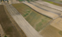Land und Forstwirtschaft - 2214, Auersthal - Landwirtschaftliches Grundstück in der KG Auersthal - 4169m2