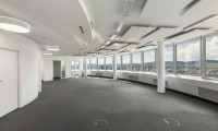 Büro / Praxis - 1200, Wien - Moderne Büroflächen im Millennium Tower | 1200 Wien