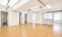 Büro / Praxis - 1130, Wien - Repräsentative Bürofläche mit Lager in ausgezeichneter Lage von Hietzing