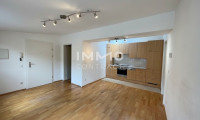 Wohnung - 1160, Wien,Ottakring - Aparte Dachgeschoßwohnung in der Hasnerstraße für Singles oder Paare