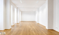 Büro / Praxis - 1090, Wien,Alsergrund - Wunderschönes Büro in erstklassiger Lage des 9. Bezirks nähe Schottentor