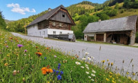 Haus - 8622, Etmißl - Ruhiges Zuhause mit Charakter und Nebengebäude - provisionsfrei für die Käufer