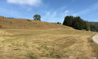 Grundstück - 2572, St. Corona - Neuparzellierung - toller Baugrund