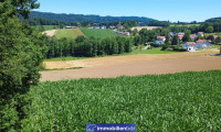 Grundstück - 4794, Kopfing im Innkreis - Attraktive Baugrundstücke in Kopfing - Grundstück 1