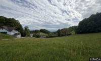 Grundstück - 4040, Lichtenberg - LICHTENBERG: Sonniges Grundstück mit Blick nach Linz
