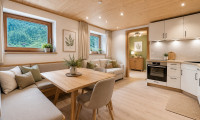 Wohnung - 6292, Finkenberg - Kompakte 2-Zimmer-Wohnung mit 19 m² Südostterrasse in Finkenberg