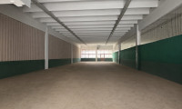 Halle / Lager / Produktion - 2201, Hagenbrunn - Lager in Hagenbrunn, Dusche, 2 WCs, Parkplatz