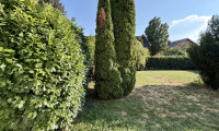 Wohnung - 1210, Wien,Floridsdorf - Sanierte 1-Zimmer-Gartenwohnung in Grünruhelage – 105 m² Eigengarten