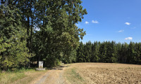 Grundstück - 7572, Deutsch Kaltenbrunn - Waldgrundstücke in Deutsch Kaltenbrunn