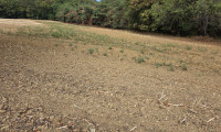 Grundstück - 7537, Neuberg im Burgenland - Landwirtschaftliche Grundstücke in Neuberg