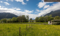 Grundstück - 5730, Mittersill - Sonniges Grundstück in ruhiger Aussichtslage in Mittersill