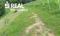 Grundstück - 8462, Gamlitz - Ertragreicher Weingarten - gute Bodenqualität - gute Ausrichtung