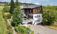 Haus - 4902, Wolfsegg am Hausruck - Exklusives Anwesen mit Villa und großzügigem Grundstück in Wolfsegg am Hausruck