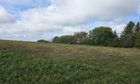 Grundstück - 7461, Stadtschlaining - Landwirtschaftliche Grundstücke samt Wald in Stadtschlaining