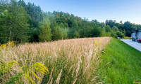 Grundstück - 8680, Hönigsberg - Gewerbegrundstück in Mürzzuschlag/Hönigsberg-Ost.