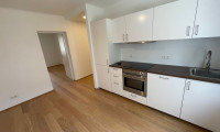 Wohnung - 2435, Ebergassing - Erstbezug nach Komplettsanierung – moderne 2,5-Zimmer-Wohnung in Ebergassing