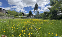 Grundstück - 9991, Dölsach - Natur genießen. Zuhause schaffen.