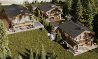 Haus - 2641, Schottwien - Privates Alpenchalet mit Pool, Wellnessbereich und Bergblick