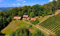 Haus - 8452, Nestelberg - SÜDSTEIRISCHE WINZER-RARITÄT – EIN PRIVATES REFUGIUM DER BESONDEREN ART!