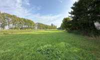 Grundstück - 3433, Königstetten - Grundstück für Bauträger in Königstetten