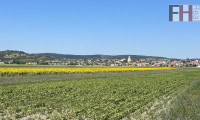Grundstück - 7093, Jois - Landwirtschaftliche Grundstücke in Streulage der Gemeinde Jois/Neusiedl