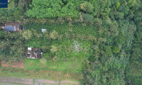 Grundstück - 80572, Puhu, Kecamatan Payangan - Ubud, Bali, Indonesia – Approx. 6,054 m² for Visionaries - Rare Freehold Development Land with Tourism Zoning