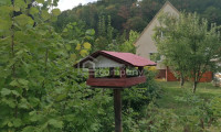 Haus - 2640, Gloggnitz - Charmantes Einfamilienhaus mit Garage, Werkstatt & großem Nebengebäude in Gloggnitz