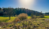 Grundstück - 9220, Sonnental - Von Bungalow bis Bauträger - Baugrundstücke in sonniger Lage