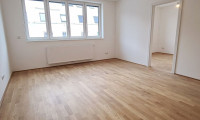 Wohnung - 1200, Wien - OSPELGASSE, klimatisierte 49 m2 Dachgeschoß, 2 Zimmer, Komplettküche, Wannenbad, Parketten, ruhige Lage