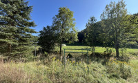 Grundstück - 5330, Fuschl am See - Refugium in der Natur – Baugrund ohne Altbestand
