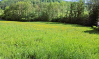 Grundstück - 2392, Wienerwald - BAUTRÄGER AUFGEPASST! Gesamt ca. 8.380 m² Wohnbau- Grundstück in Grünruhelage, nähe A 21