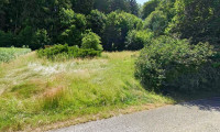 Grundstück - 4421, Aschach an der Steyr - Baugrund mit Weitblick – Ihr Platz zum Ankommen in Aschach an der Steyr