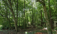 Grundstück - 3004, Riederberg - Ruhe - Wald - Grün! Grundstück nahe Gablitz