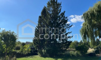 Grundstück - 2753, Dreistetten - Sonniges Baugrundstück mit Biotop, Altbaumbestand und Doppelgarage in 2753 Dreistetten