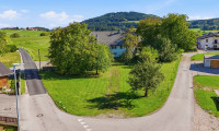 Grundstück - 5204, Straßwalchen - STEINDORF BEI STRASSWALCHEN: Obstgarten 1, 635 m² für Ihr neues Zuhause!