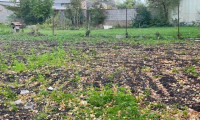 Grundstück - 7122, Gols - Gols: 2 Baugrundstücke in ruhiger, eingesessener Wohngegend / Bauland Mischgebiet