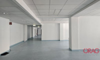 Büro / Praxis - 1030, Wien - Moderne Büros in der nähe vom Belvedere-Garten, 1030 Wien, zu mieten