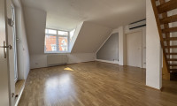 Wohnung - 1020, Wien,Leopoldstadt - Dachterrassen Mietwohnung in Top Lage zur Innenstadt