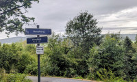 Grundstück - 4204, Reichenau im Mühlkreis - Braugrundstück in Ruhelage - Hanglage