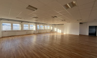 Büro / Praxis - 2351, Wiener Neudorf - Büro- und Lagerflächen in 2351 Wiener Neudorf zu mieten