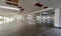 Büro / Praxis - 2351, Wiener Neudorf - Büro- und Lagerflächen in 2351 Wiener Neudorf zu mieten