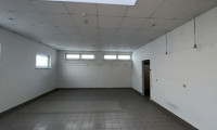 Halle / Lager / Produktion - 2351, Wiener Neudorf - Büro- und Lagerflächen in 2351 Wiener Neudorf zu mieten