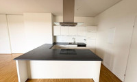 Wohnung - 8010, Graz - Penthousewohnung mit 4 Zimmern und Terrasse - AB SOFORT!