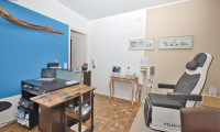 Büro / Praxis - 4614, Marchtrenk - Repräsentative Praxis- / Gewerbefläche mit Garten in Marchtrenk