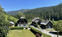 Haus - 9543, Arriach - Landwirtschaftliches Anwesen mit Wohnhaus & Wiesen - Wald optional erwerbbar